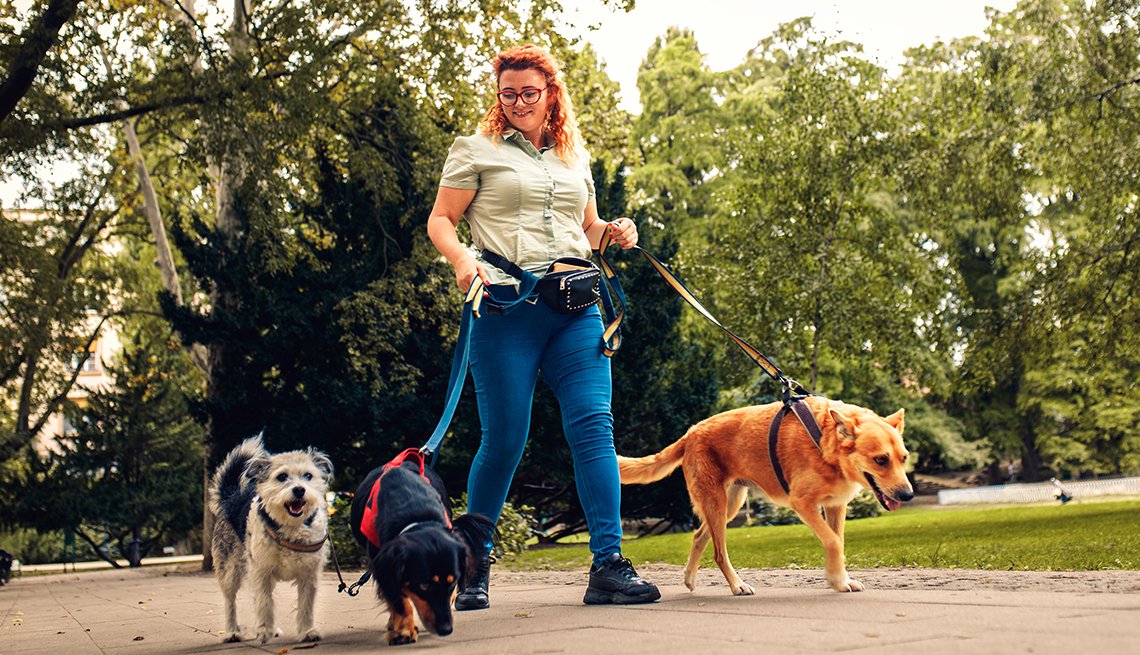 Una passeggiata insieme al proprio cane